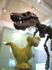 Jeep Dino Äventyr - bild 5