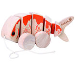 Dragdjur fisk